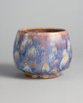 WINDY CUP 'NEBULA'